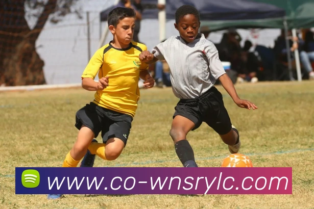 App Interface Preview